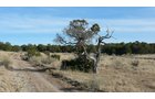 Property photo 33 - 7,320 Acres Offered in 5 Tracts